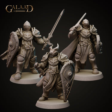 Shield Knight Bundle